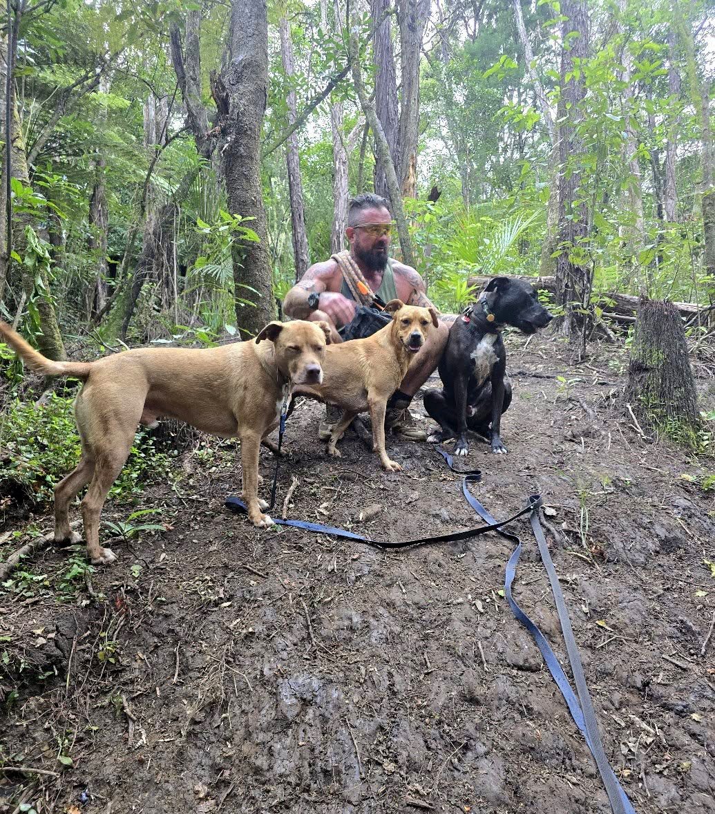 Joe working dogs on long-lines in the bush